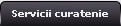 Servicii de curatenie
